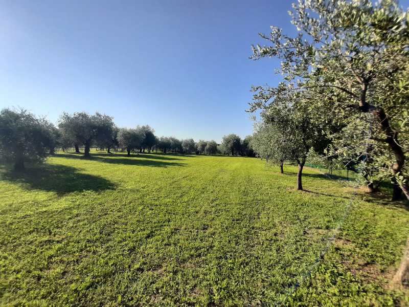 immagine annuncio 7 di 10