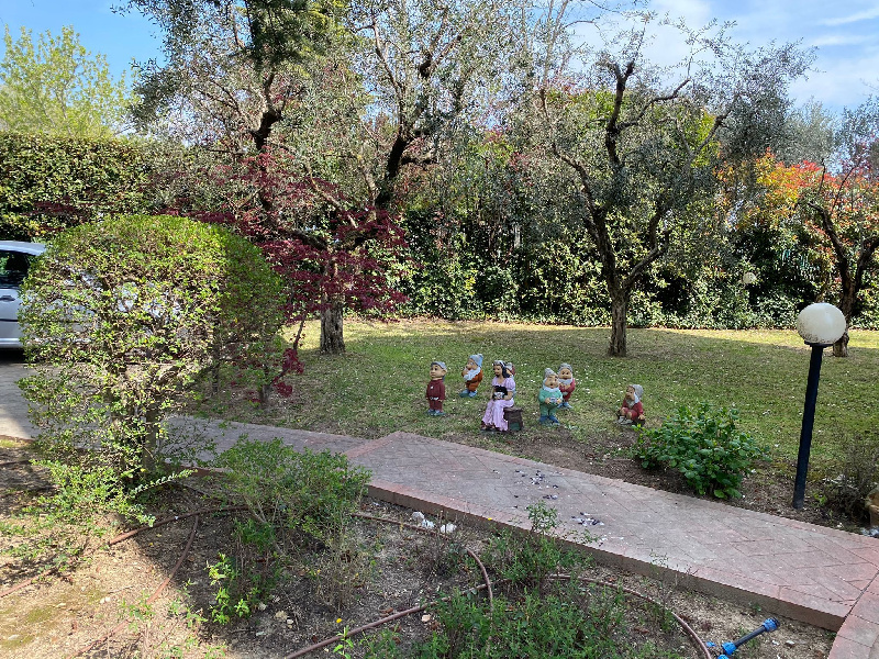 immagine annuncio 7 di 10