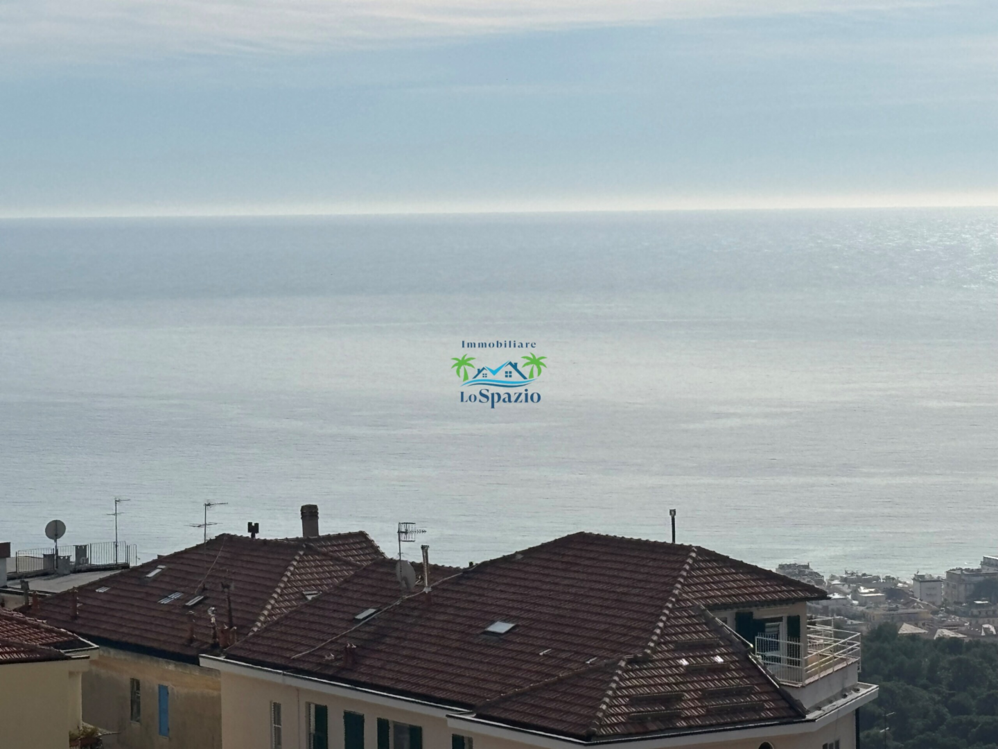 immagine annuncio 0 di 10