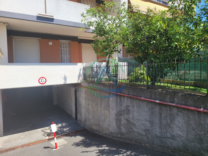 immagine annuncio 6 di 8