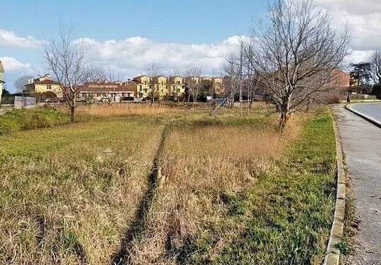 immagine annuncio 2 di 4