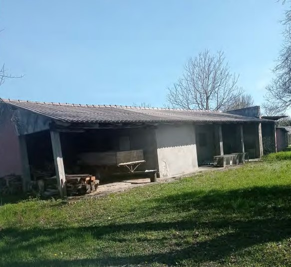 immagine annuncio 6 di 10