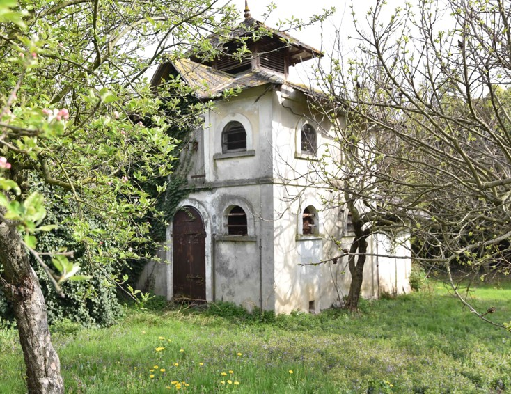 immagine annuncio 5 di 10