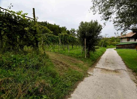 immagine annuncio 2 di 9