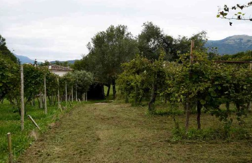 immagine annuncio 6 di 9