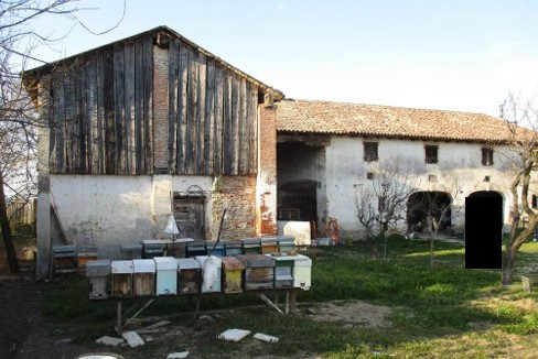 immagine annuncio 3 di 9