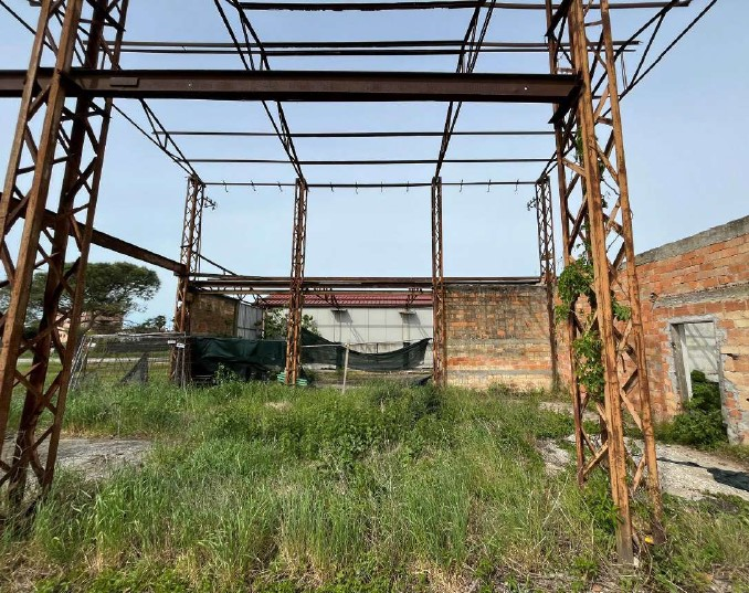 immagine annuncio 2 di 6