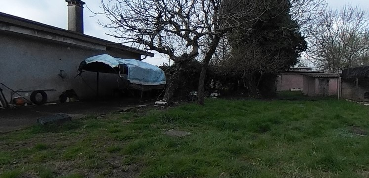 immagine annuncio 2 di 8