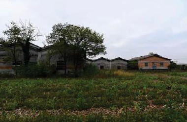 immagine annuncio 2 di 7