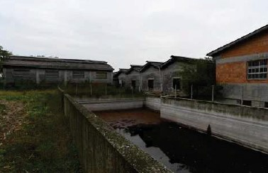 immagine annuncio 6 di 7