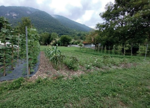 immagine annuncio 2 di 7