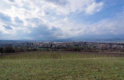 immagine annuncio 3 di 8