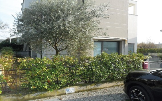 immagine annuncio 3 di 9