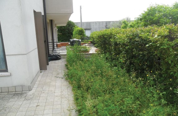 immagine annuncio 5 di 9