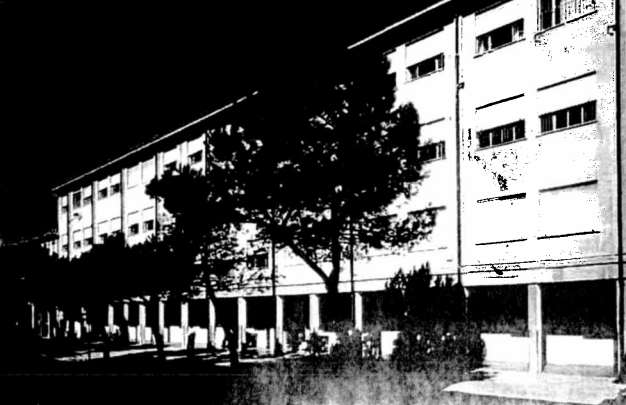 immagine annuncio 2 di 3