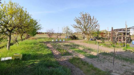 immagine annuncio 8 di 10