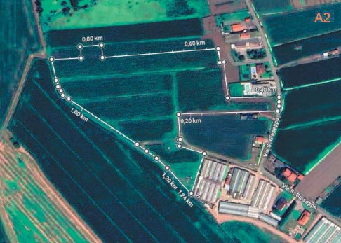 immagine annuncio 3 di 6