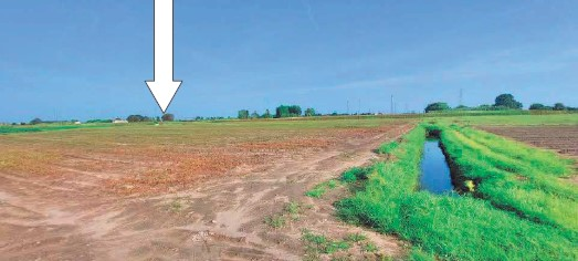 immagine annuncio 5 di 6