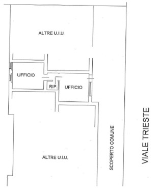 immagine annuncio 5 di 7