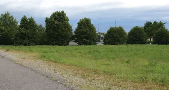 immagine annuncio 6 di 8