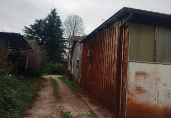 immagine annuncio 1 di 10