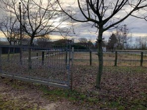 immagine annuncio 5 di 8