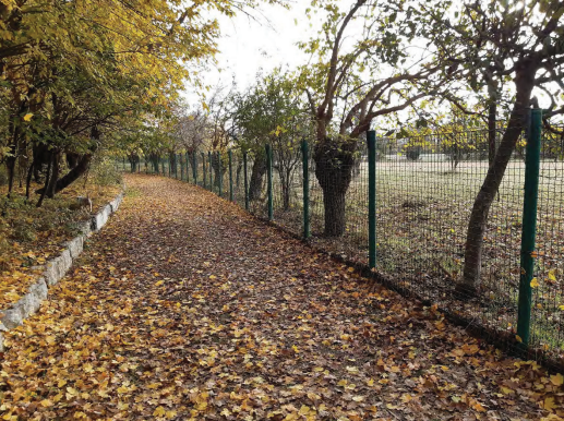 immagine annuncio 8 di 10