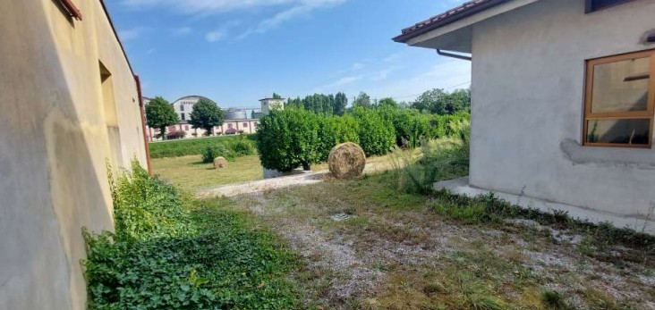 immagine annuncio 3 di 6