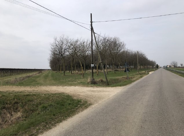 immagine annuncio 1 di 9