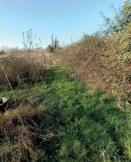 immagine annuncio 1 di 4