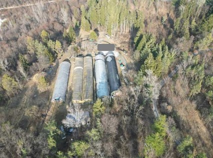 immagine annuncio 1 di 7