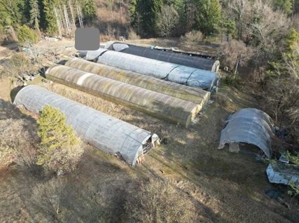 immagine annuncio 5 di 7