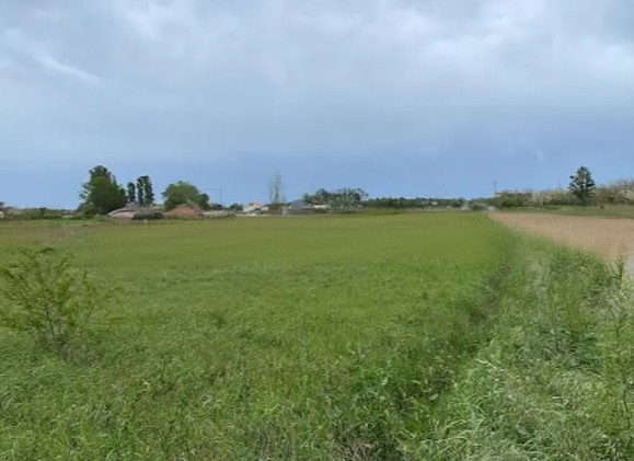 immagine annuncio 2 di 4