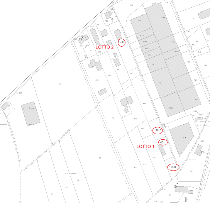 immagine annuncio 4 di 7