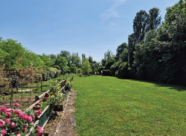 immagine annuncio 2 di 8