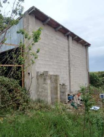 immagine annuncio 2 di 9