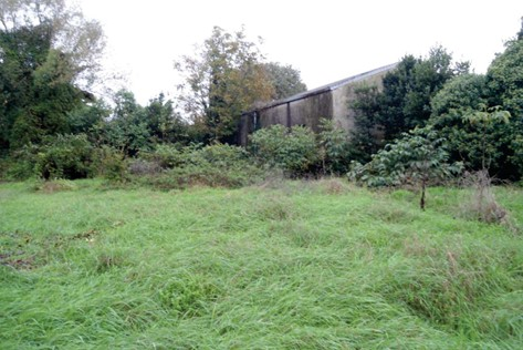 immagine annuncio 1 di 7