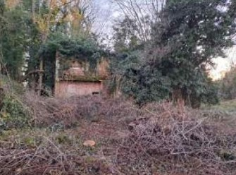 immagine annuncio 3 di 7