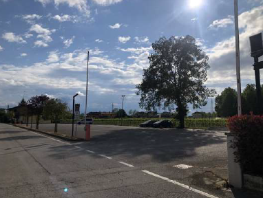 immagine annuncio 5 di 6