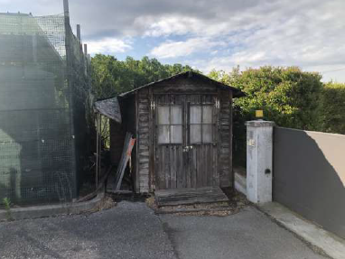 immagine annuncio 4 di 6