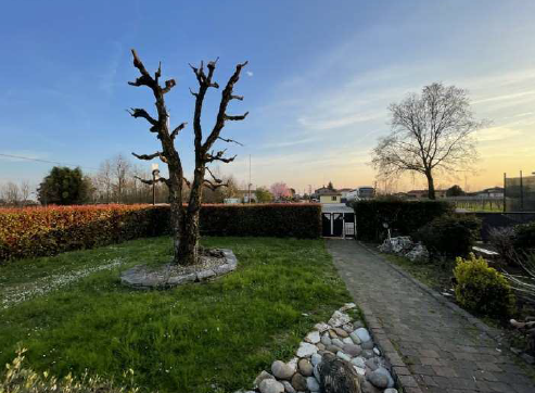 immagine annuncio 2 di 9