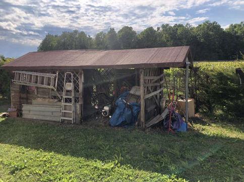 immagine annuncio 1 di 9