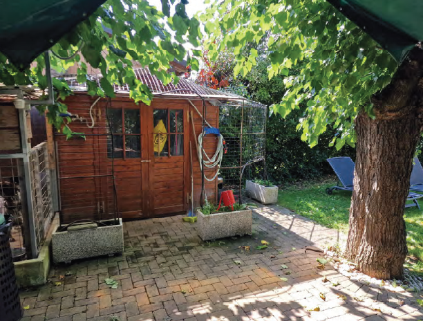 immagine annuncio 3 di 8