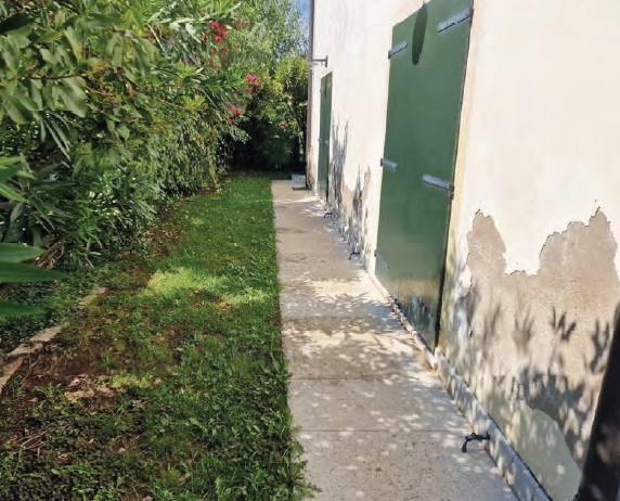 immagine annuncio 6 di 8