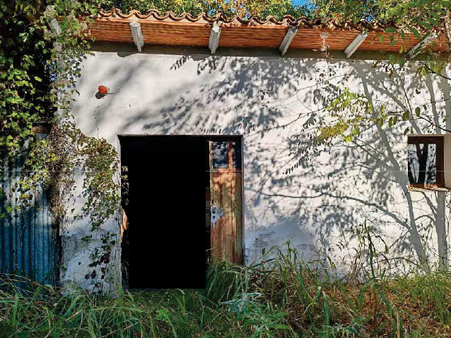 immagine annuncio 2 di 6