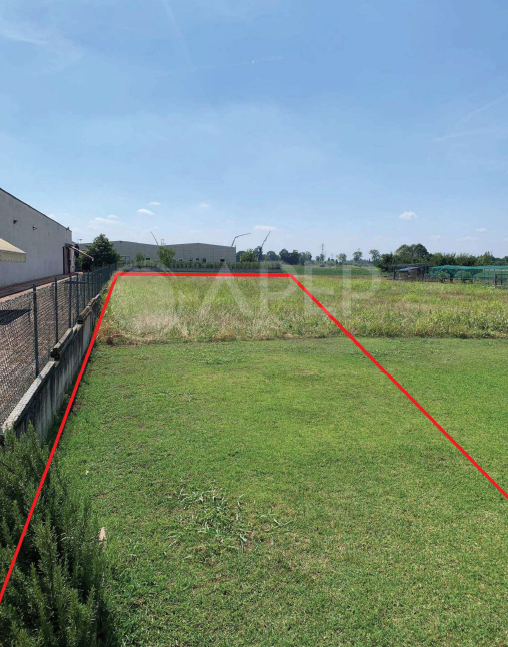 immagine annuncio 2 di 6