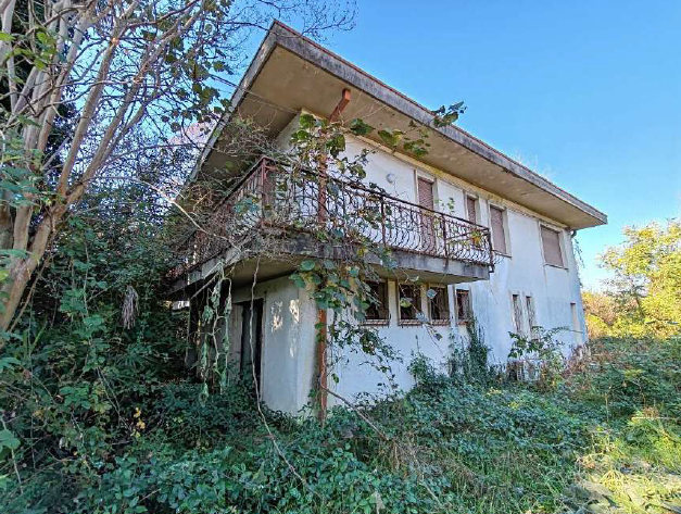 immagine annuncio 1 di 7