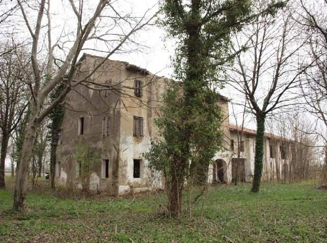 immagine annuncio 4 di 9