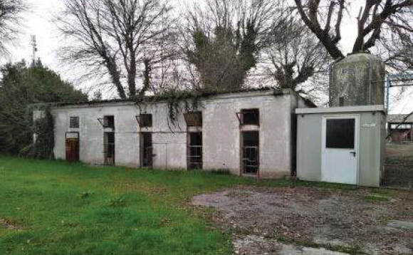 immagine annuncio 7 di 10