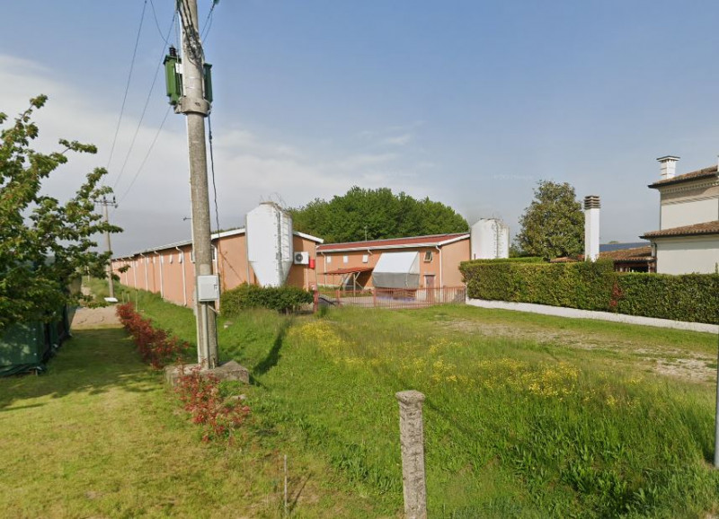 immagine annuncio 4 di 10